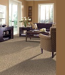 Carpet flooring 